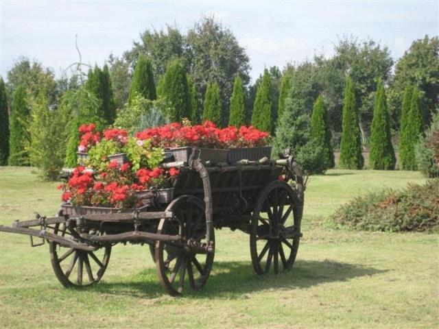 Barokk Hotel Hegyeshalom Dış mekan fotoğraf